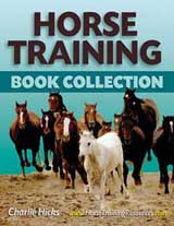 Click here for Expert Horse Training